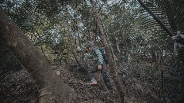 寶山水庫環湖步道（西北、西、東峰）2986753