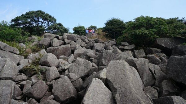 香港山系 － 九龍 • 新界934528