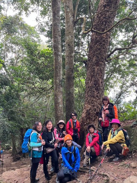 四訪苗栗的花果山-小百岳#037馬那邦山、雪霸國家公園管理處【小百岳集起來、苗栗-臺灣百大必訪步道】2394280