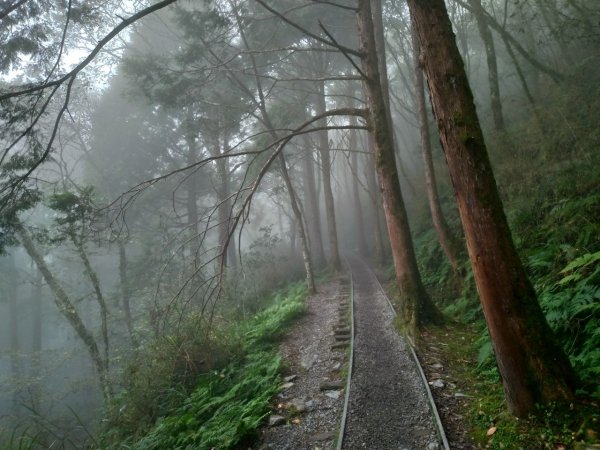 宜蘭太平山見晴懷古步道708314