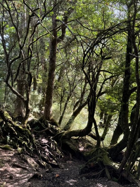 南湖中央尖-------北一段2868251