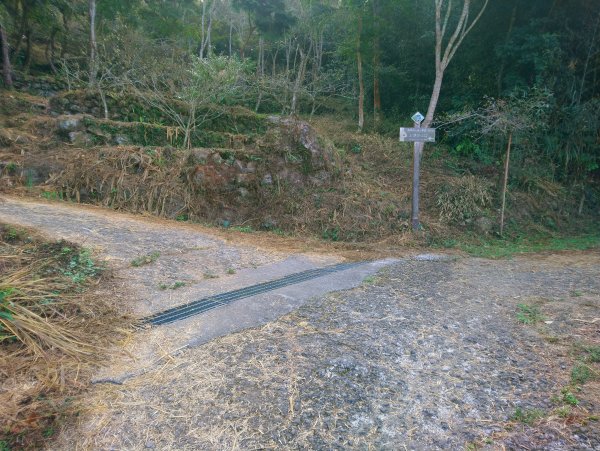 馬那邦山(小百岳編號037)720084