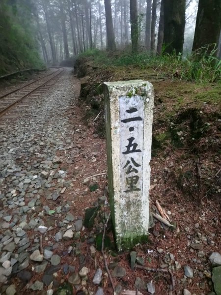 森林鐵道543440