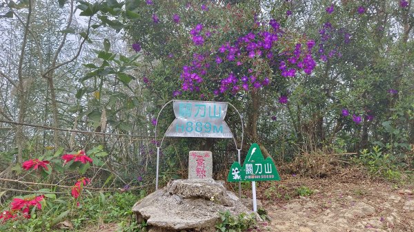 關刀山（出關古道）白霧/濕滑行