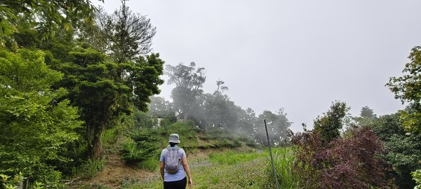 2025/04/20_鷂婆山步道2766604