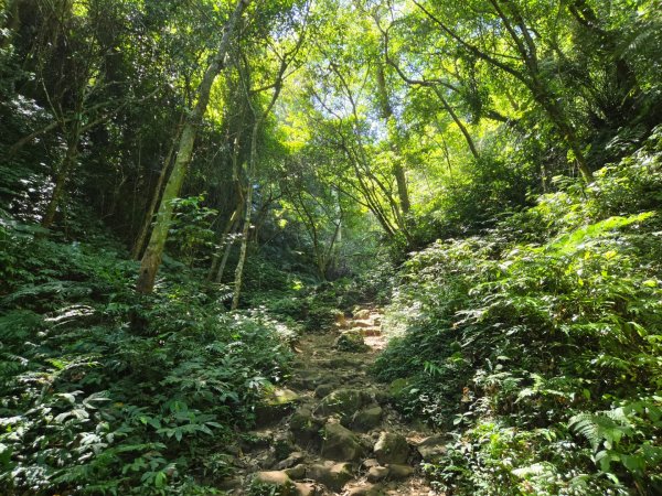 桃園石門山（小百岳）2910043