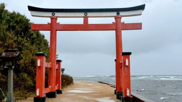 宮崎青島,母智丘,桷志田,櫻島,渡輪3027889