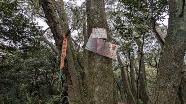 115.04.18寶山水庫+5連群峰之旅3039697
