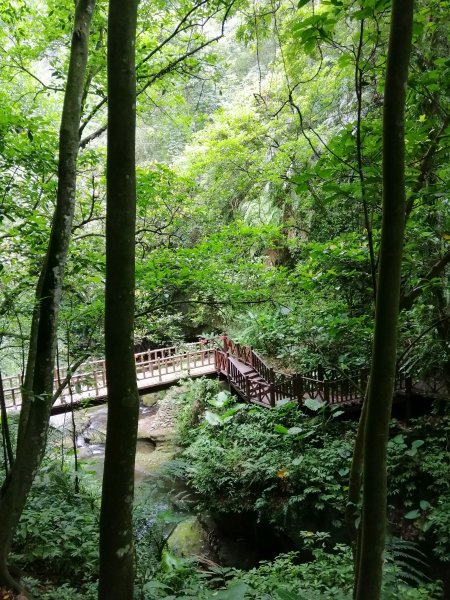 新竹峨眉~小而美的悠閒步道。 水濂橋步道1104185