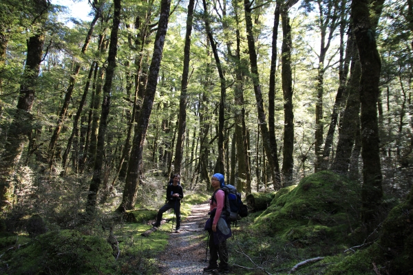 Rees Dart Track in New Zealand8966