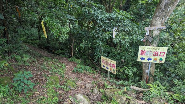 赤柯山 東獅頭山2501631