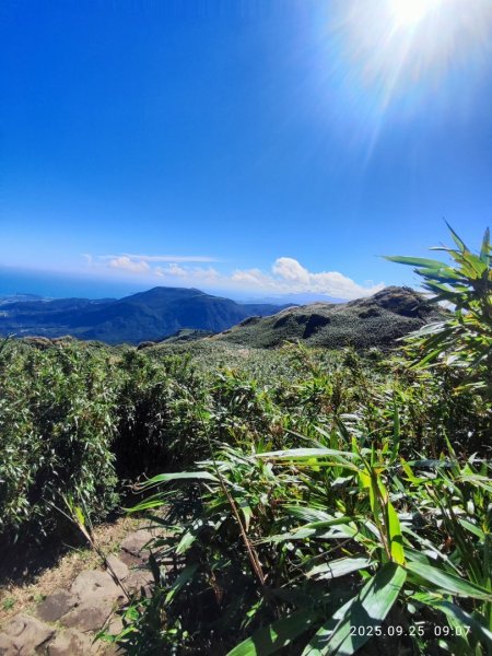 七星山二進2894955