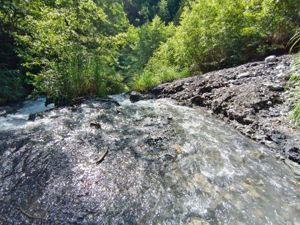 兩颱風之間空擋登屏風山巧遇保育類動物+出大景2237824