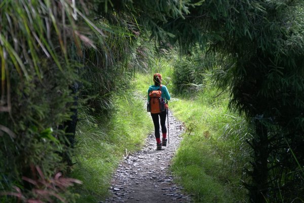 一起來瘋玉山前峰692949