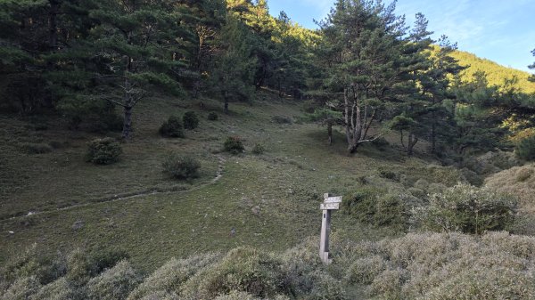 20241124-1130 南二段10座百岳2665479