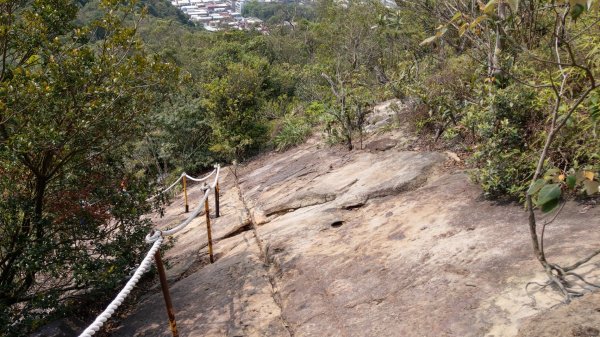 內湖金面山步道890431