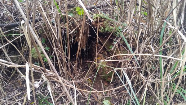 雪見遊戲區盡尾山二本松山2702689