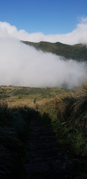 大屯山主峰步道760174