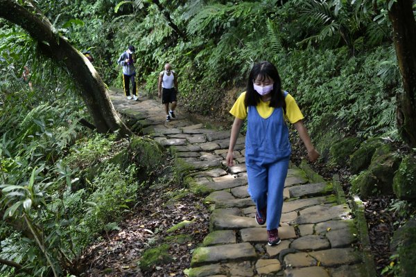 被遺忘的南港山角落：樹梅古道1444321