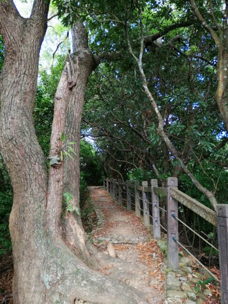 【彰化。員林】古樸悠靜。 待人坑隴頂古道1087556