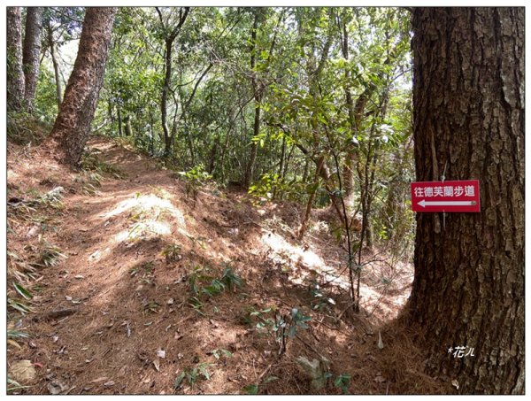 東卯山、東卯山西峰、東卯山西南峰 連走2932849