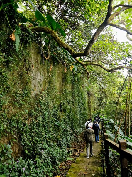 太興岩步道-嘉義縣梅山鄉2655815