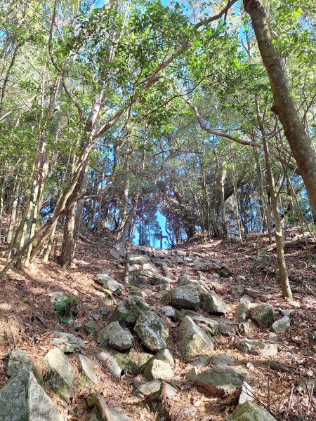 稍來神木+稍來山+稍來山南峰O型202412292678980