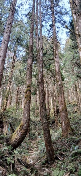 2025 3/1 三星山2723844