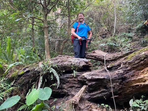 鵝公髻山（小百岳）鵝公髻山東北峰2449859