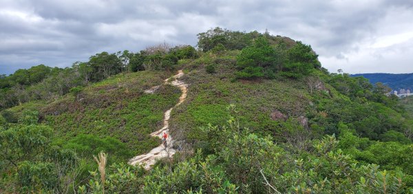 2023-12-16軍艦岩、丹鳳山親山步道2381854