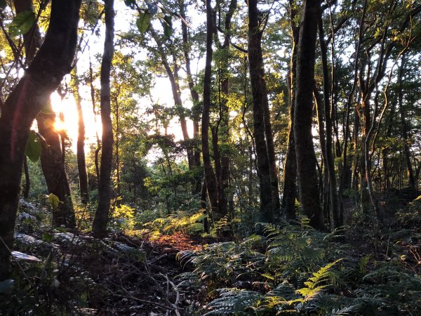 一魚多吃的高島縱走  帶孩子享受攀爬的452385