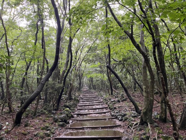 1140811 KR 漢拏山杜鵑花田避難所-紗羅岳觀景臺2860091