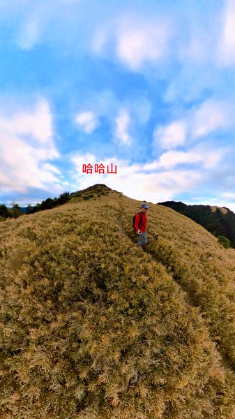 貼近山林來走個稍微不一樣風景的合歡山2989412