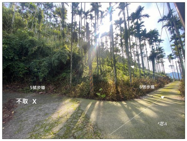 樟湖山 右上左下 (雲林、古坑)2846306