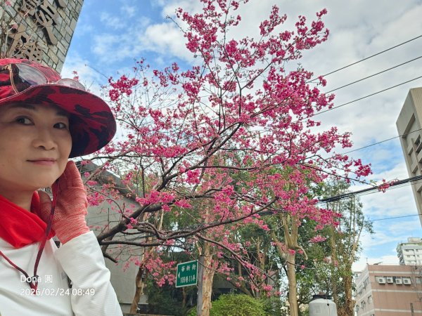 圓通寺烘爐地登山步道大O走3006967