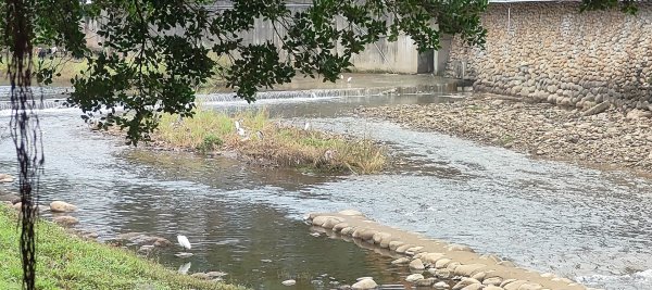 桃園老街溪2928627