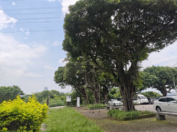 [跟著2025雙北世壯運探索雙北市-1/21] 2025_0607 飛盤競技道（華江雁鴨河濱步道）2807804