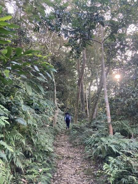 石門山登山步道2396651