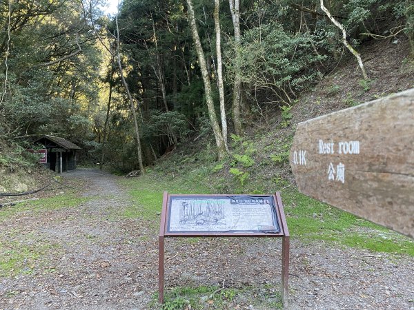 《走進百年前的山林｜霞喀羅古道22K縱走．一條被歷史刻下痕跡的路》3029907