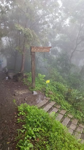 鳳凰南嶺線步道(溪頭至杉林溪縱走)2150732