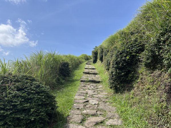 [走遍陽明山]2023_0723 夢幻湖步道2311776