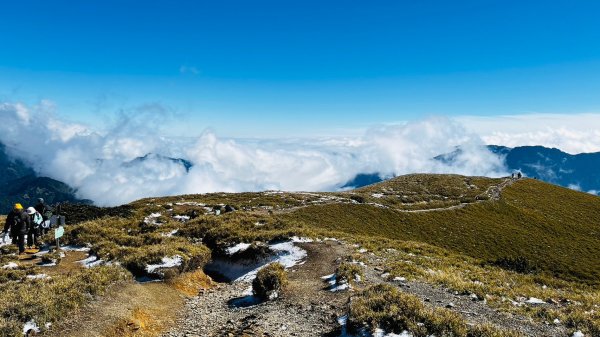 歡樂腳合歡北峰瑞雪2400970