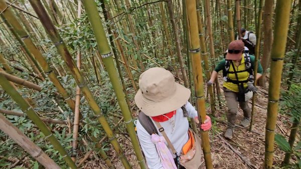 馬武督山西南峰+馬武督山O型走3012848