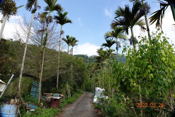 嘉義 阿里山 卓武山1623073