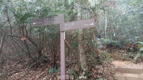 【南投魚池】中部四大名山之山高路遠。 水社大山登山步道2037916