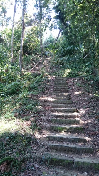 仙山登山步道41005