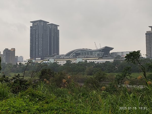 2-2 新店溪左岸自行車道→陽光運動公園→陽光橋→奇蹟公園2690924