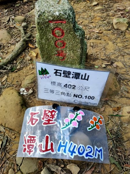 飛鳳山2923575