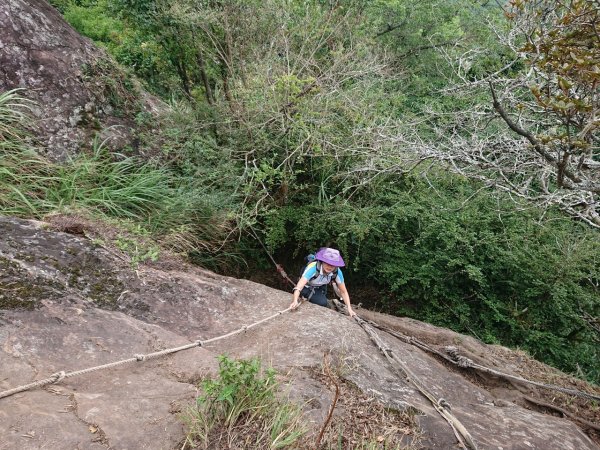 哈加縱走（哈堪尼山、加里山）1051389