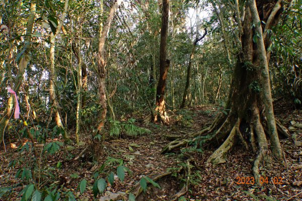 高雄 茂林 網子山、鳴海山、御油山2097364